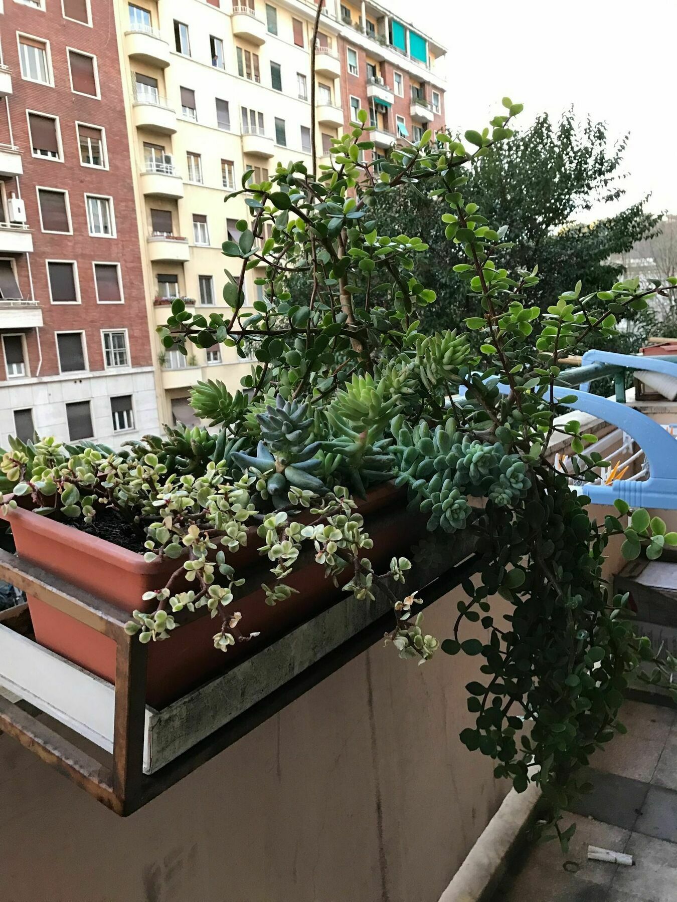 Pardis Guest House Rome Exterior photo